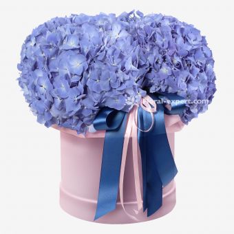 Hydrangea Box